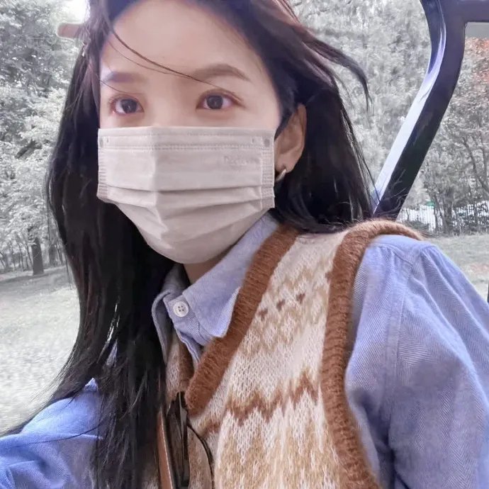 一只小蜘蛛